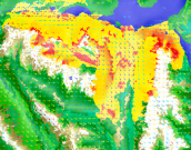 Forest
                    Fire Simulation in High Performance Computing